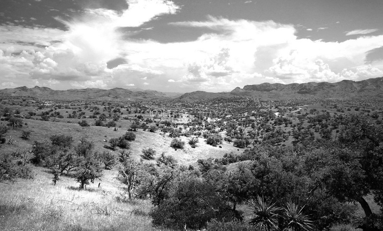 黑白 小山 景观