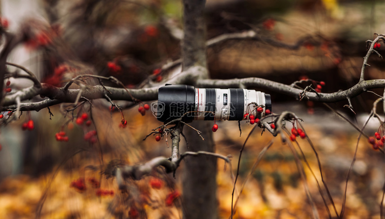 分支 深度 属于