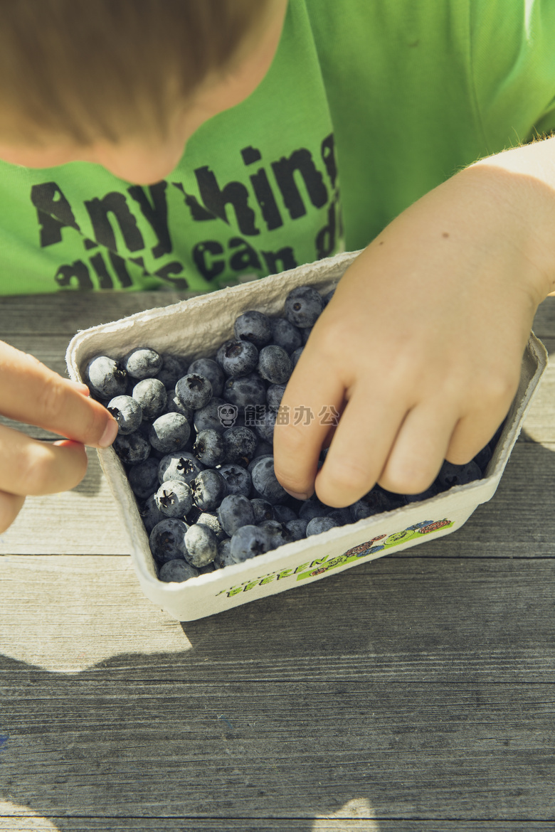 农业 蓝莓 商业