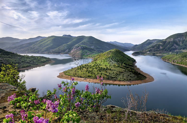 日光 峡湾 森林