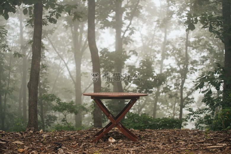 雾 森林 桌子