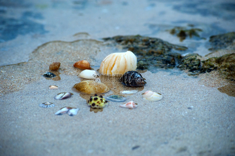 海滩 海洋 沙