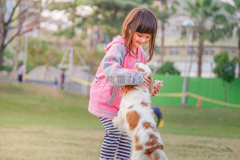 动物 小孩 接触