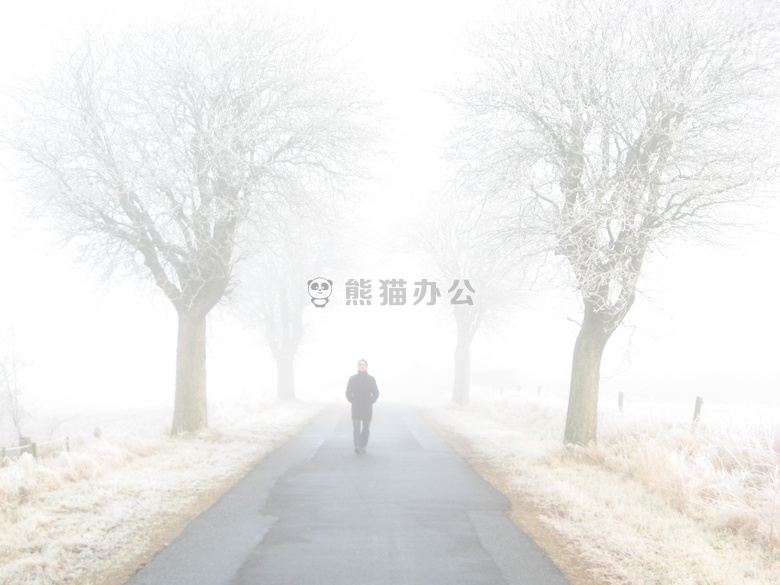 单独地 寒冷的 雾