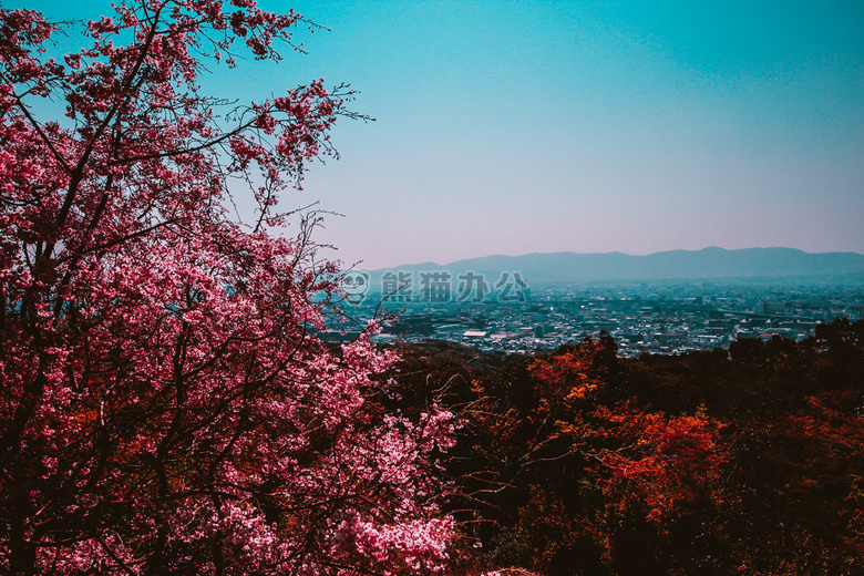 秋天 颜色 平静的