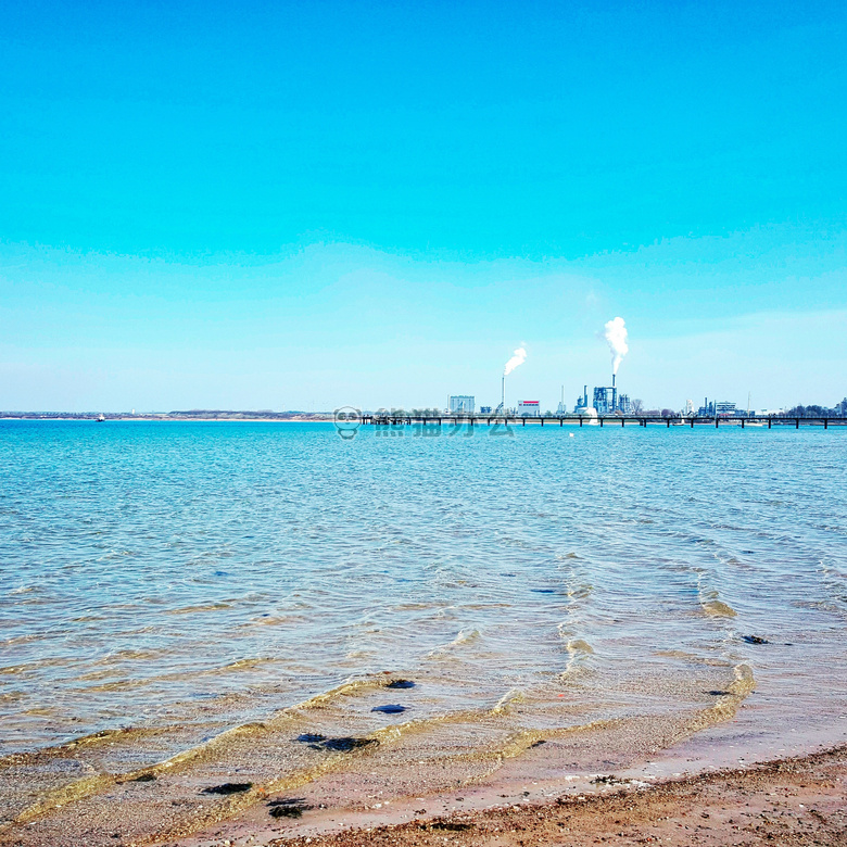 波罗的海 海 海滩