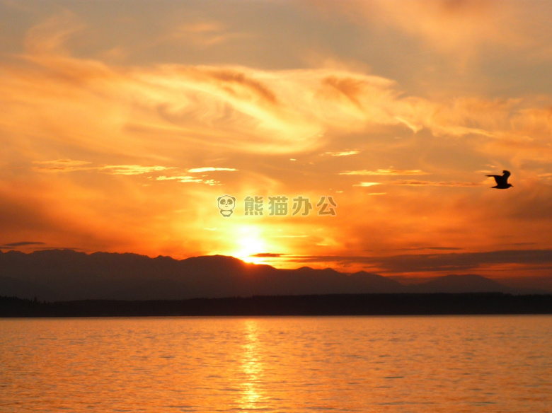 背光 海湾 海滩