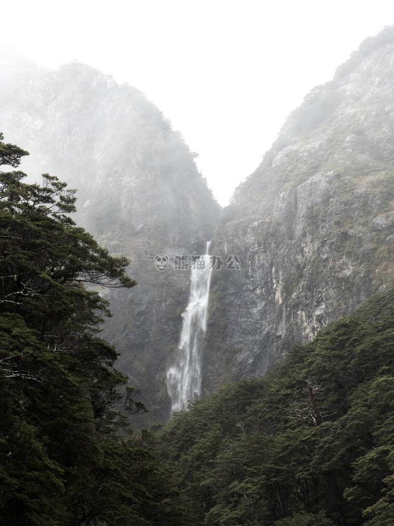 悬崖 雾 森林
