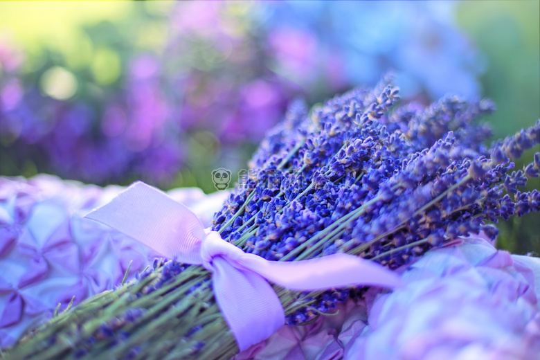 芳香 芳香的 开花