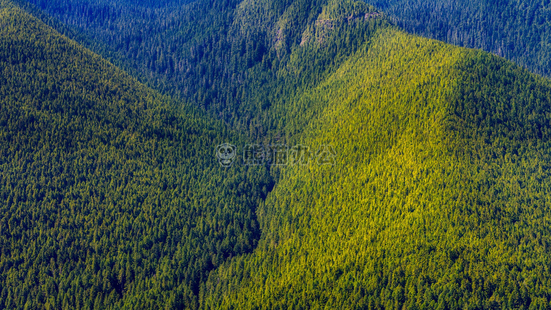 乡村 日光 环境