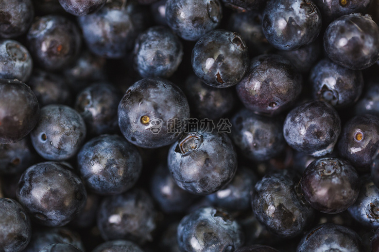 丰度 抗氧化剂 蓝莓