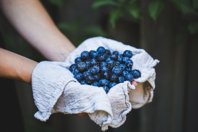 浆果 蓝莓 捆