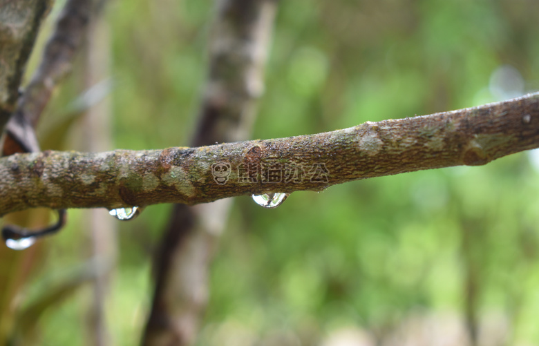 之后 这个 雨