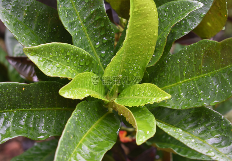 之后 这个 雨