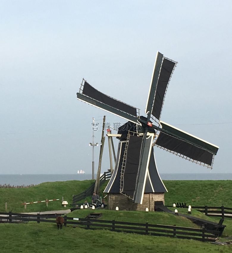 荷兰 原 风车