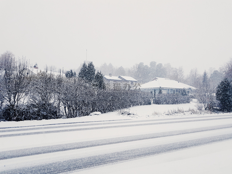 雪 冬天