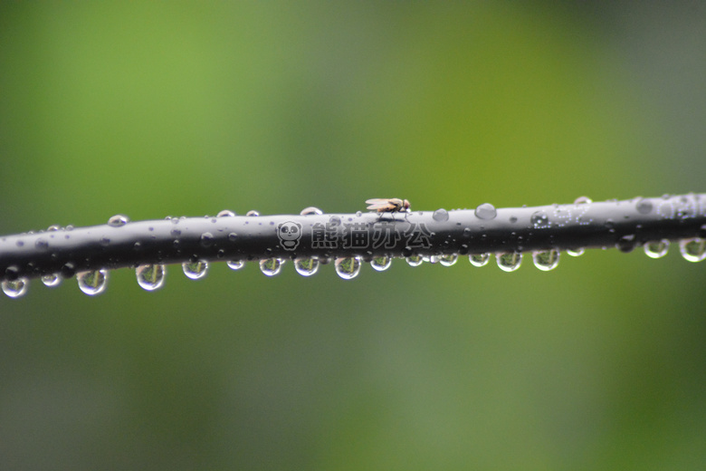 之后 这个 雨