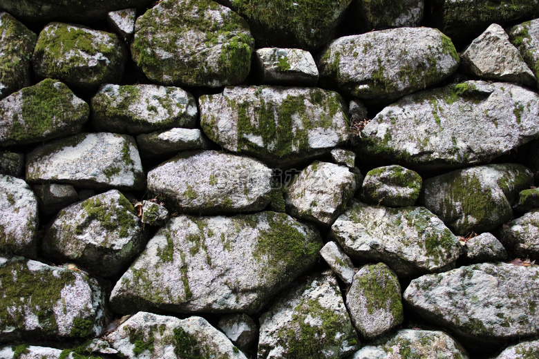 城堡 苔藓 石