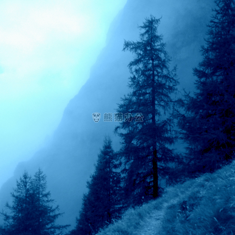 寒冷的 怪异的 雾