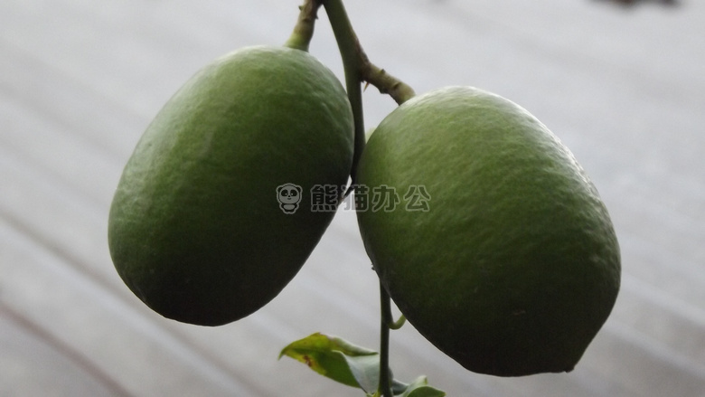 绿色 柠檬 一对