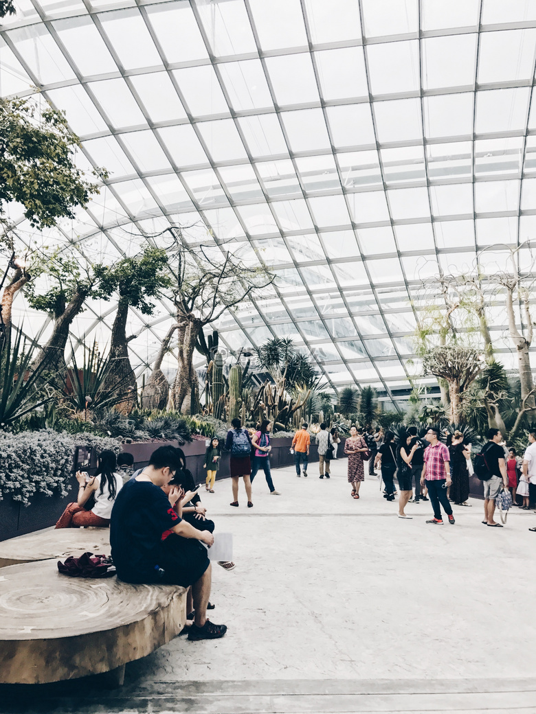 植物学的 建筑 天花板