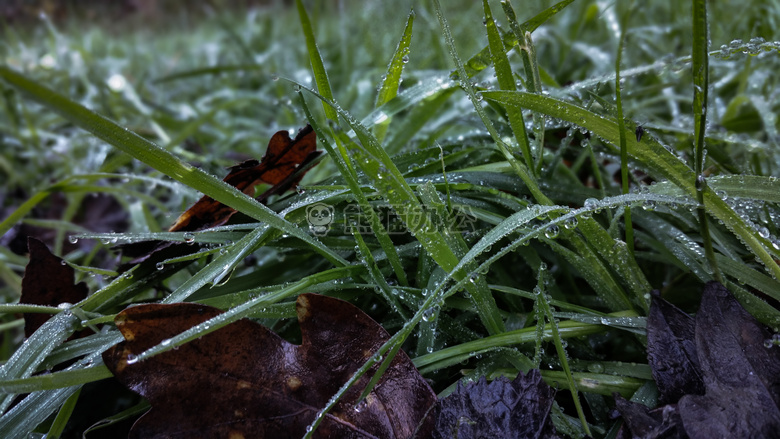 之后 这个 雨