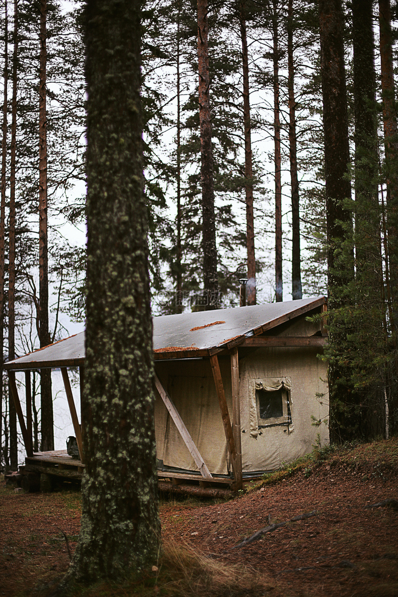 小屋 日光 环境