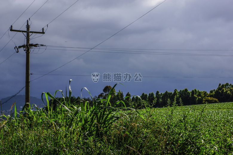 之前 这个 暴风雨