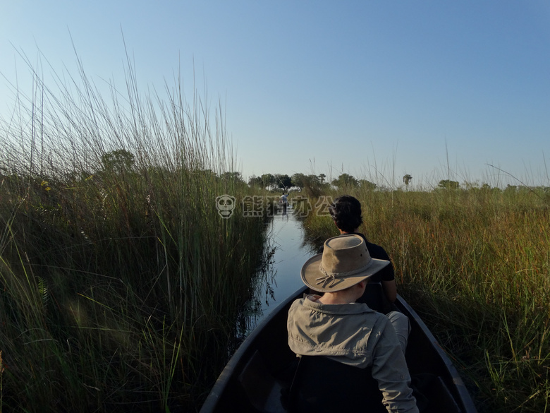 博茨瓦纳 okawango 三角洲