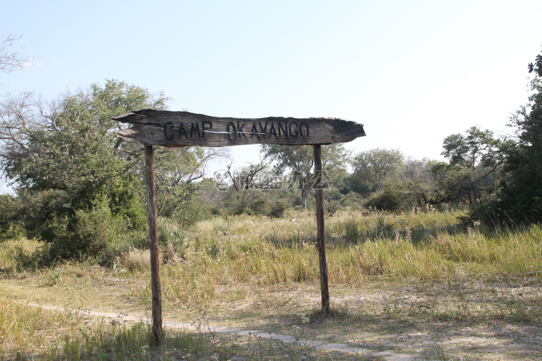 博茨瓦纳 okawango 三角洲