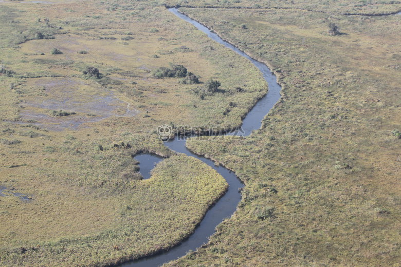 博茨瓦纳 okawango 三角洲