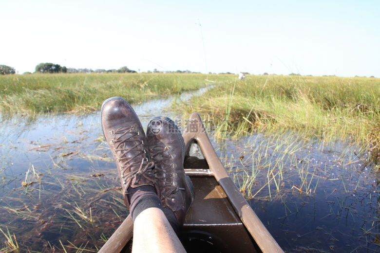 博茨瓦纳 河马 okawango