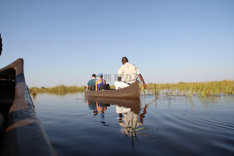 博茨瓦纳 河马 okawango