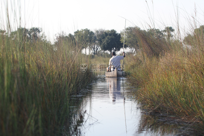 博茨瓦纳 okawango 三角洲