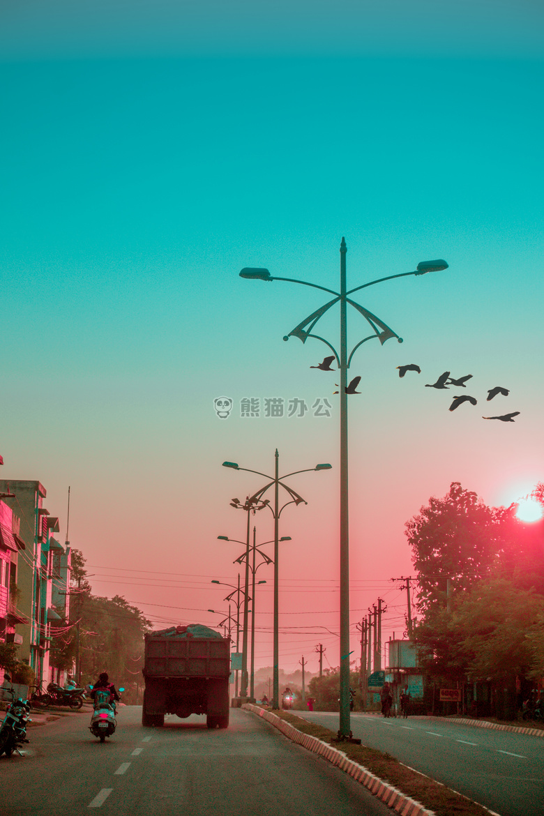 建筑学 鸟 建筑
