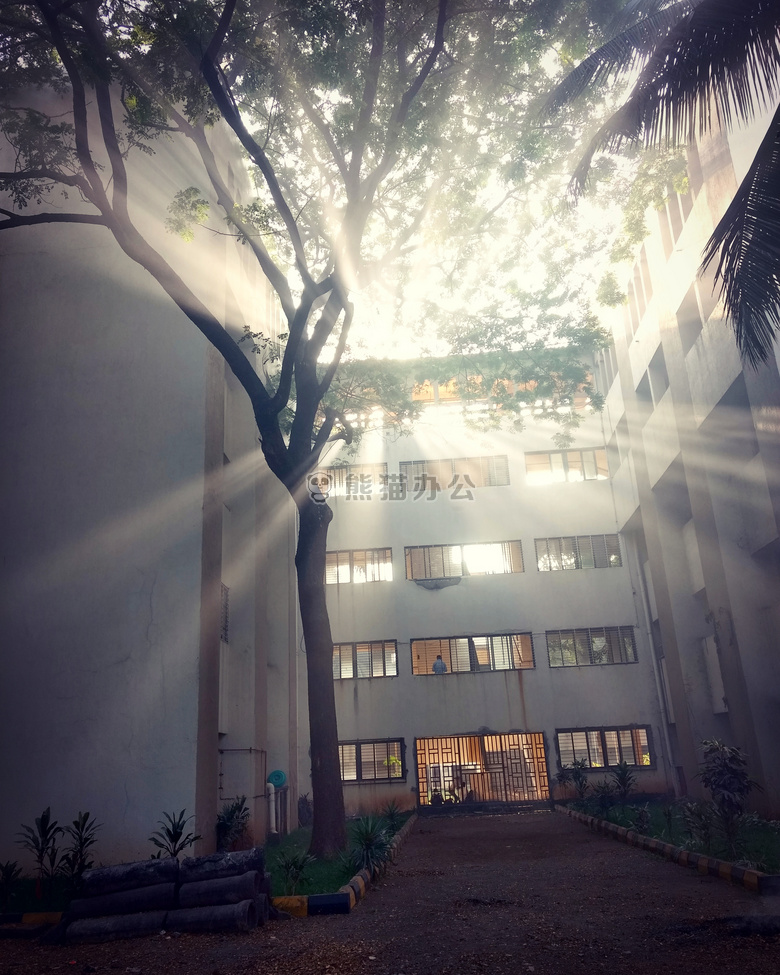 Bharti vidyapeeth 学院