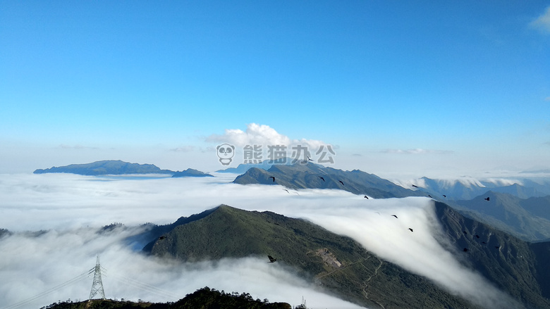 山 飞鸟