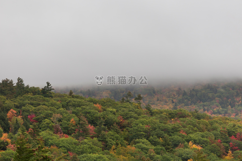雾 景观 山