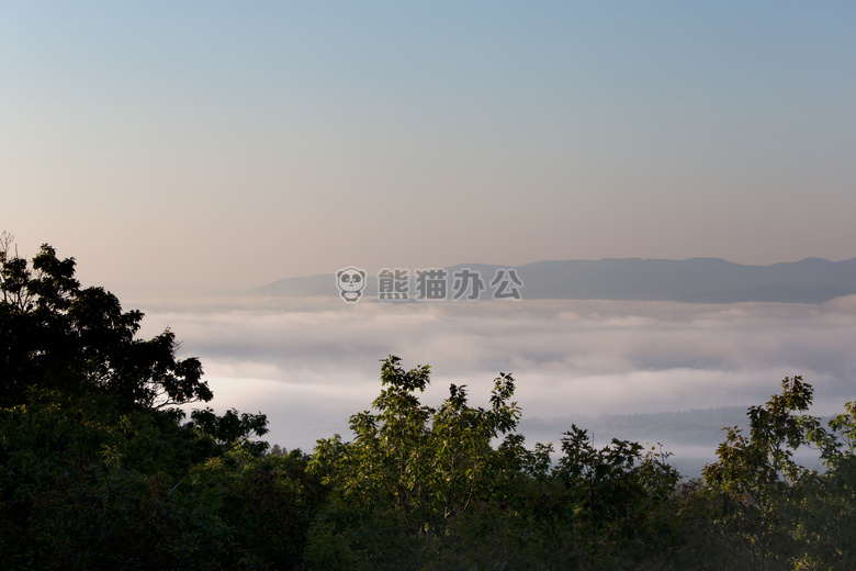 雾 景观 山