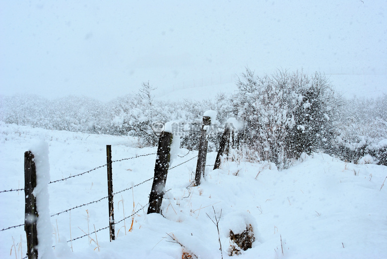 雪 电线 栅栏