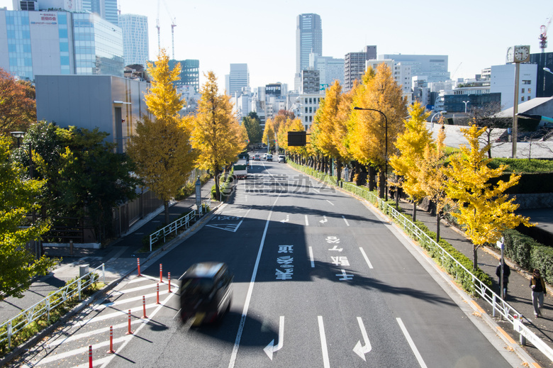 秋天 颜色 街道