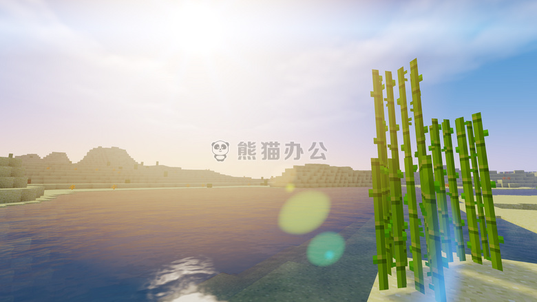 竹 树 白天
