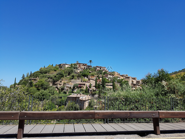 空气 旅行 多尔夫