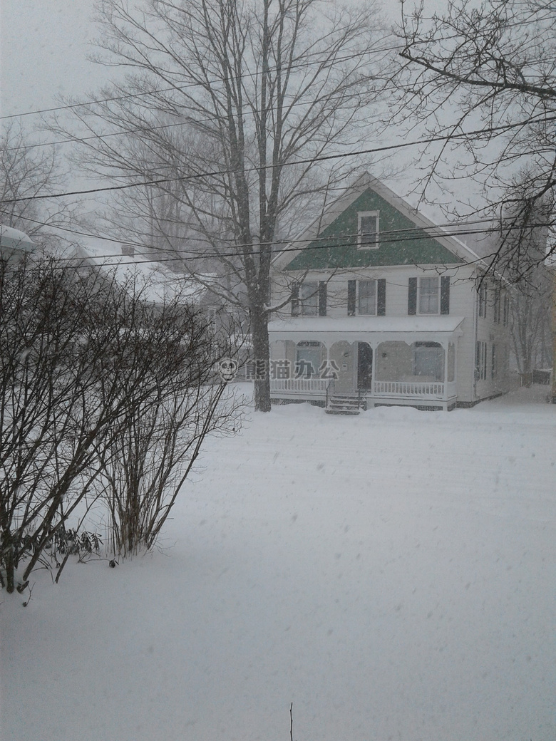 雪 盖满 院子