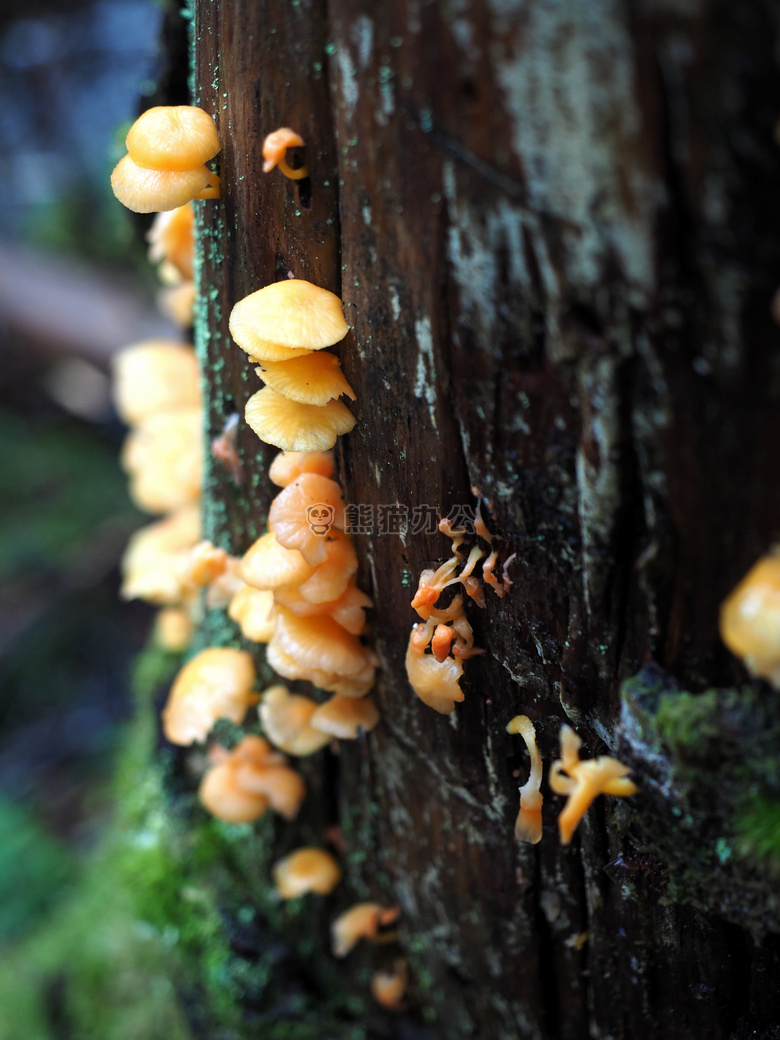 生物 生态的 探索