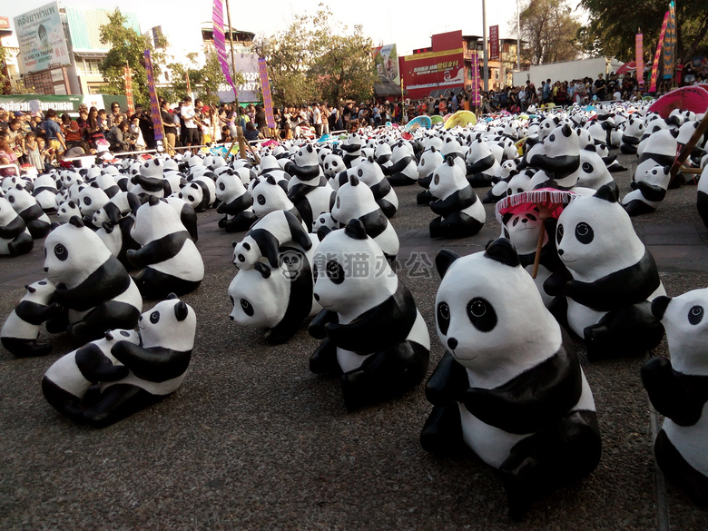1600 + 熊猫