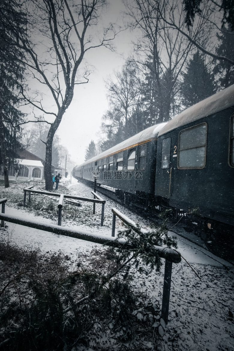 森林 雪 蒸汽