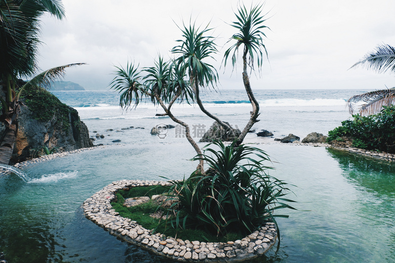 巴坦群岛 海滩 异国情调的