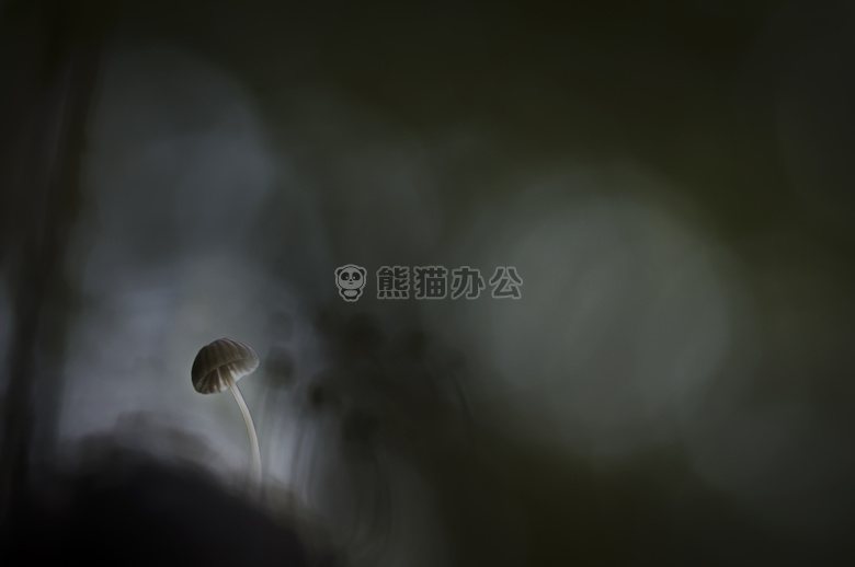 摘要 艺术 模糊