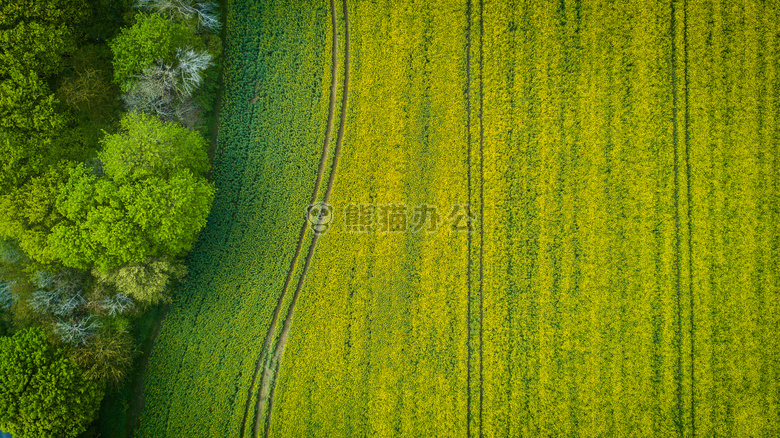 空中 射击 看法